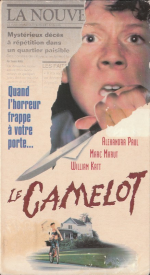Le Camelot - The Paper Boy