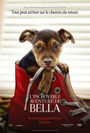 L'incroyable aventure de Bella - A Dog's Way Home