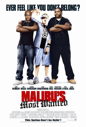 Le truand de Malibu - Malibu's Most Wanted