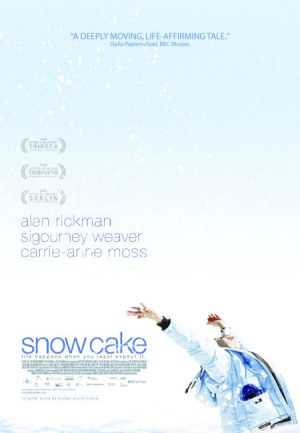Plaisirs glacés - Snow Cake