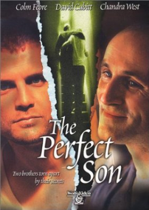 Secret de Famille - The Perfect Son